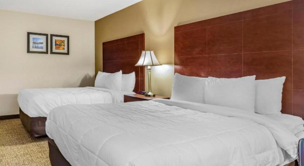 Comfort Inn Foxboro - Mansfield Фоксборо Экстерьер фото